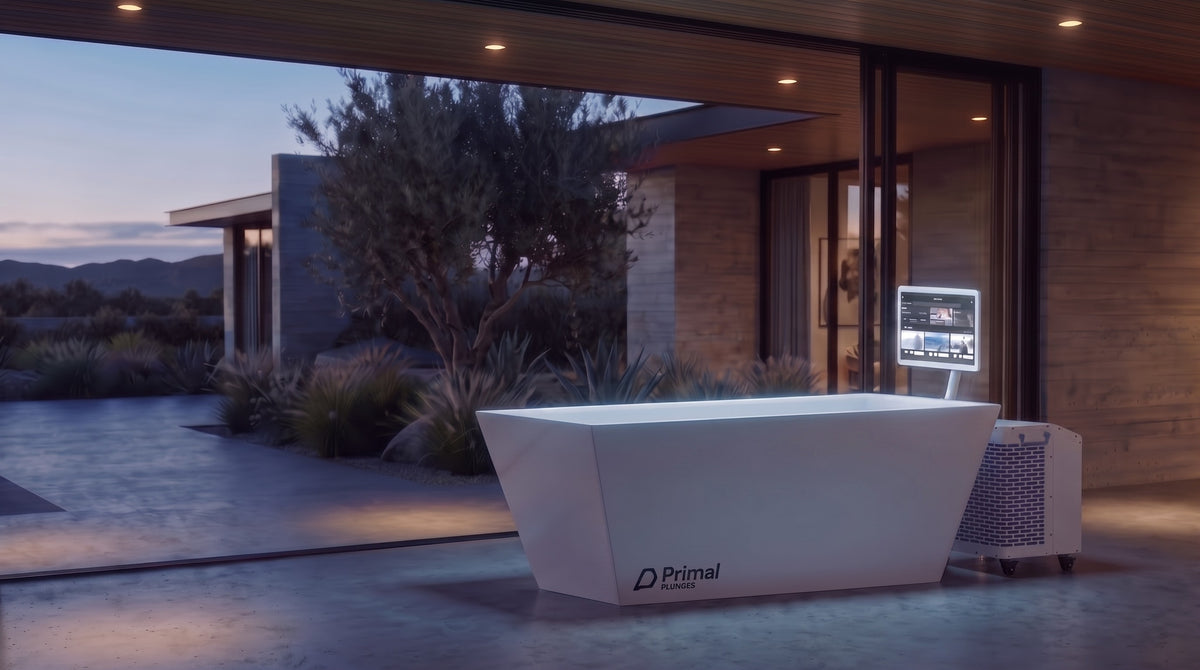 Primal Plunges cold plunge on a covered terrace at dawn, touchscreen glowing